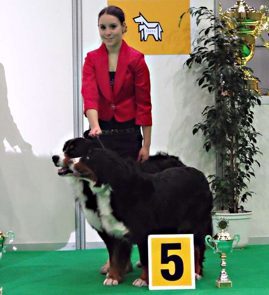 soutěž párů - 5.místo 