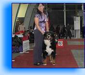 DSCF5246 