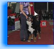 DSCF5248 