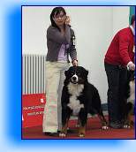 DSCF5574 