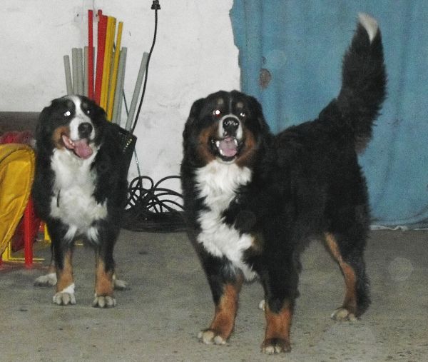 Kristof x Cappy (22. - 23. 11. 2010)