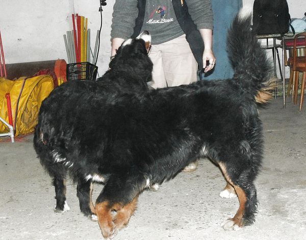 Kristof x Cappy (22. - 23. 11. 2010)