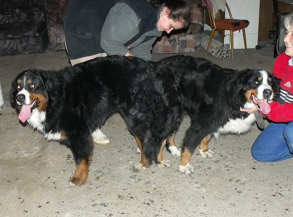 Kristof x Cappy (22. - 23. 11. 2010)