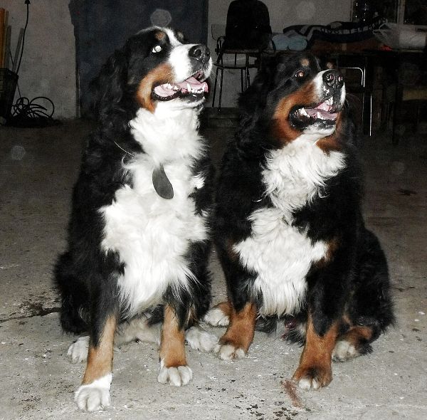 Kristof x Cappy (22. - 23. 11. 2010)