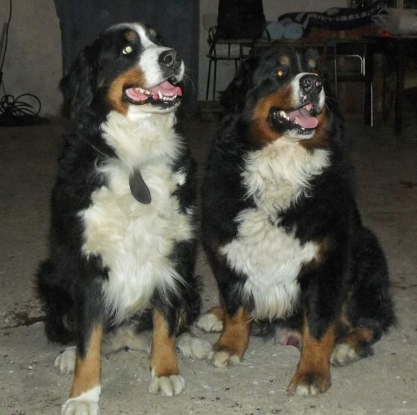 Kristof x Cappy (22. - 23. 11. 2010)
