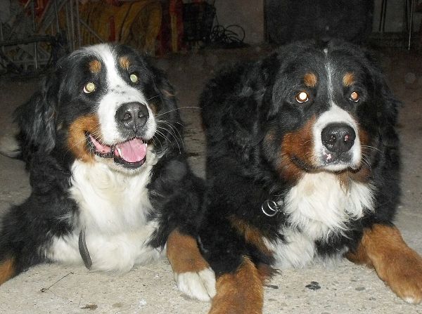 Kristof x Cappy (22. - 23. 11. 2010)