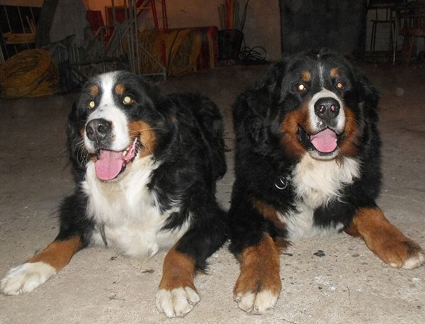 Kristof x Cappy (22. - 23. 11. 2010)
