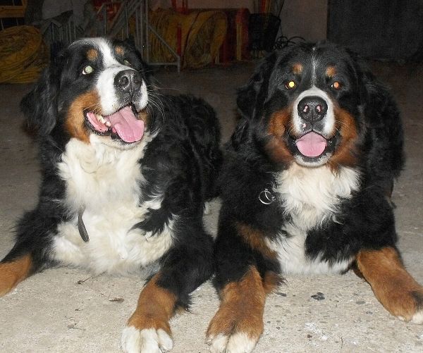 Kristof x Cappy (22. - 23. 11. 2010)