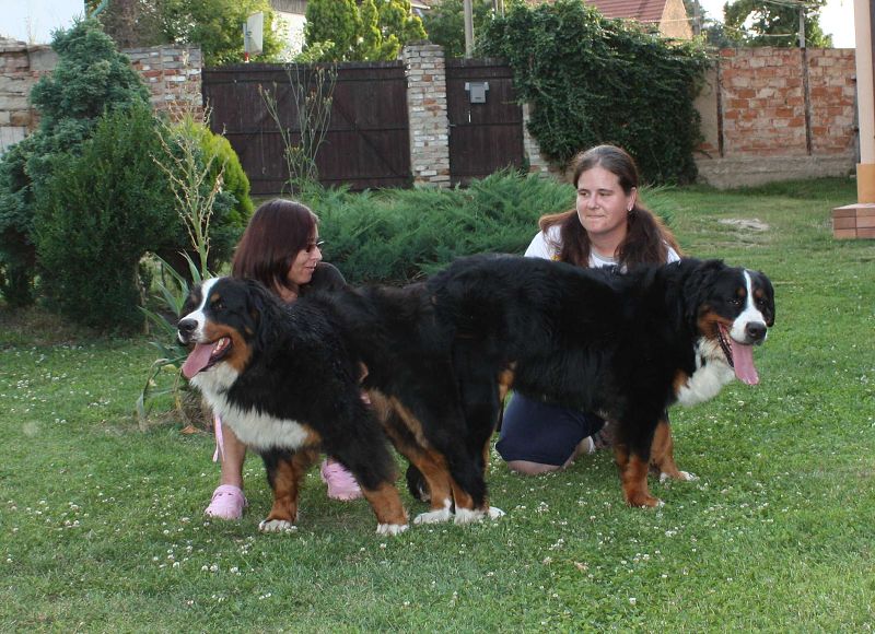 Krytí Márty x Bubáček 19.-20.7.2011