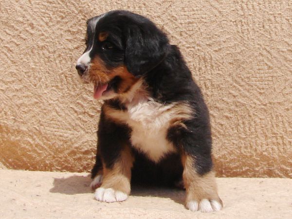 Image Baby1 