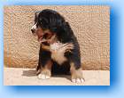 Image Baby1 
