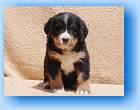 Image Baby2 