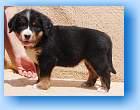 Image Baby4 