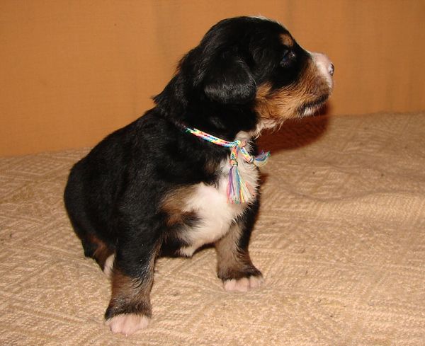 Image Baby5 