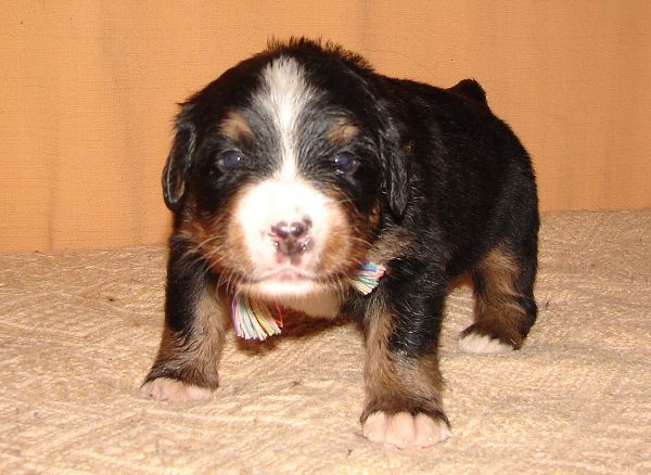Image Baby9 