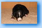 Image Baby1 