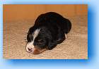 Image Baby2 