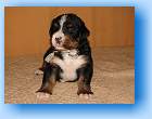Image Baby4 