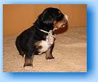 Image Baby5 