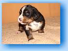 Image Baby7 