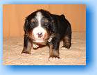 Image Baby9 