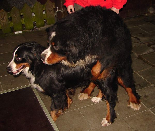 Boy x Aida  -  8. 2. 2009