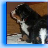 Rocky_2 