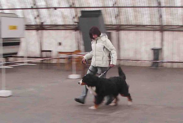 Cathy v běhu 