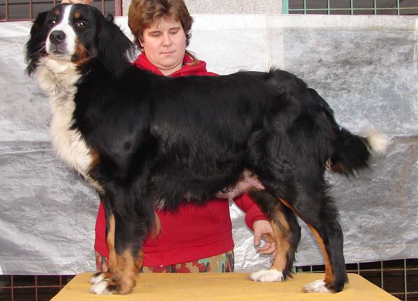 Aida mamka 