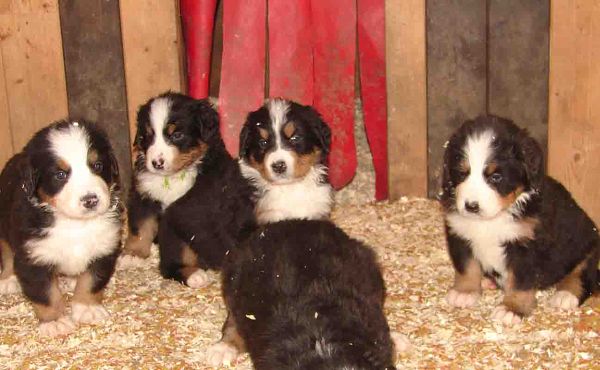 Chiron, Chris, Charlie, Charon 