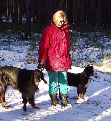 Dingo Queen Elsa - Tonek