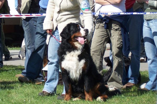 Ganty - NVP Ostrava 15.4.2007