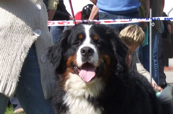Ganty - NVP Ostrava 15.4.2007