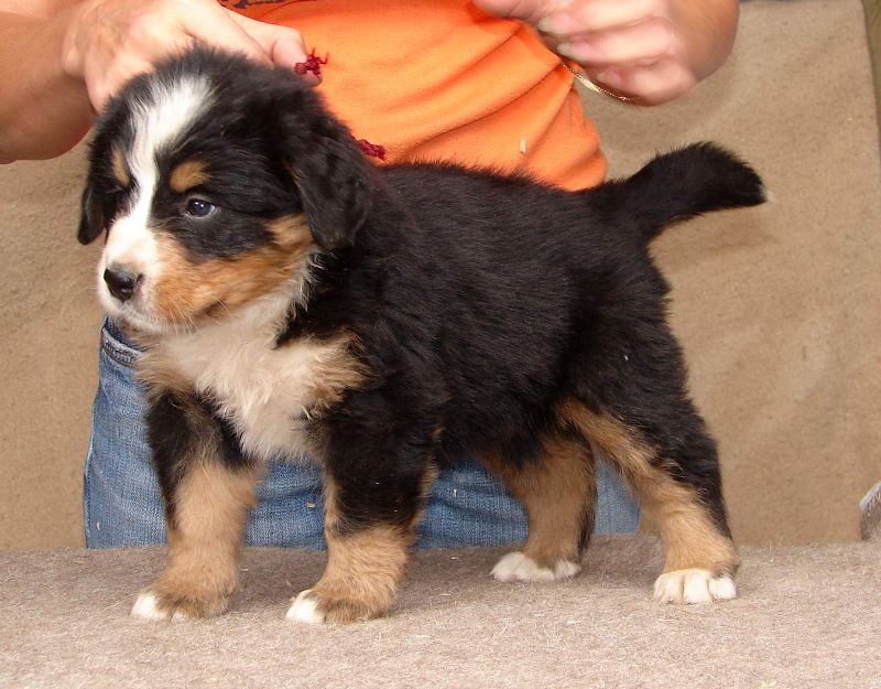 Jully 
