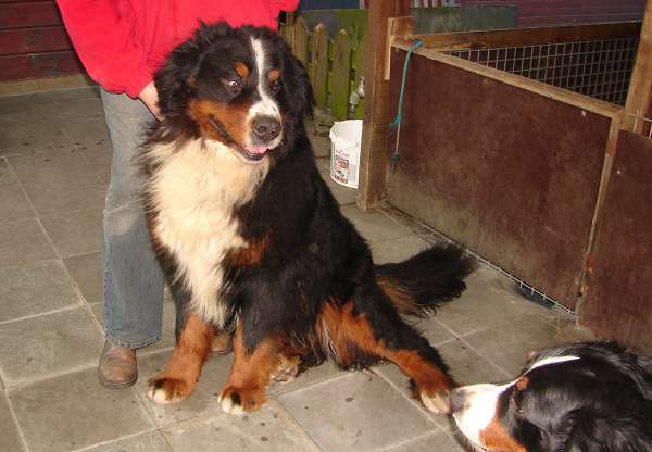 Krytí 14. 2. 2008
