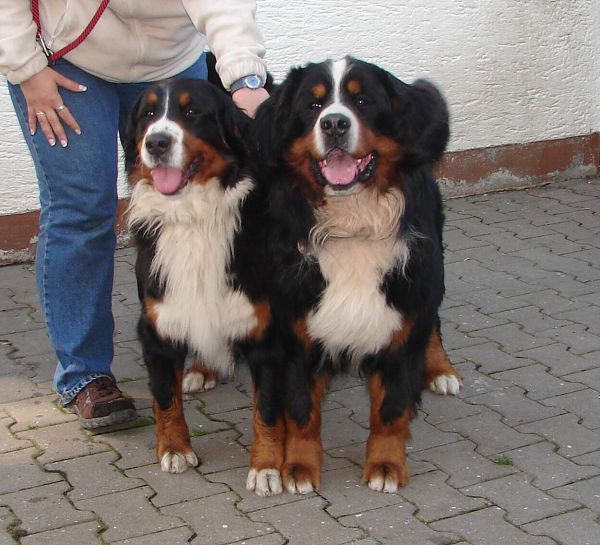 09_krásná dvojka 