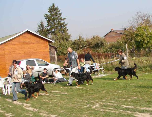 Erinka - třetí v pohybu 