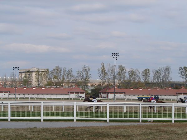 2x CACIB Budapešť - 20. - 21. 10. 2007