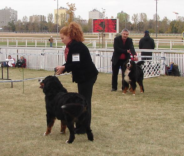 2x CACIB Budapešť - 20. - 21. 10. 2007