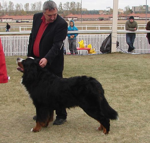 2x CACIB Budapešť - 20. - 21. 10. 2007