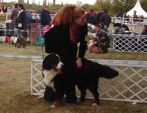 2x CACIB Budapešť - 20. - 21. 10. 2007