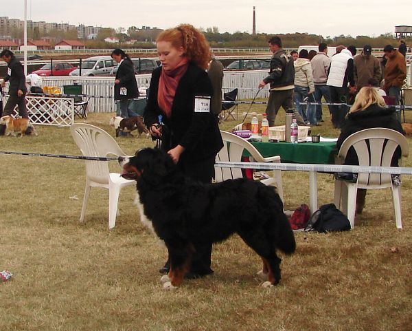 2x CACIB Budapešť - 20. - 21. 10. 2007