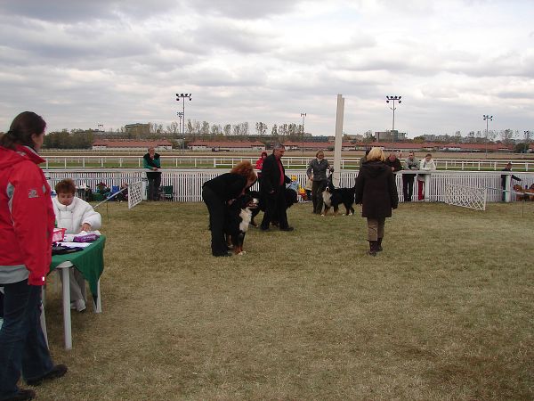 2x CACIB Budapešť - 20. - 21. 10. 2007