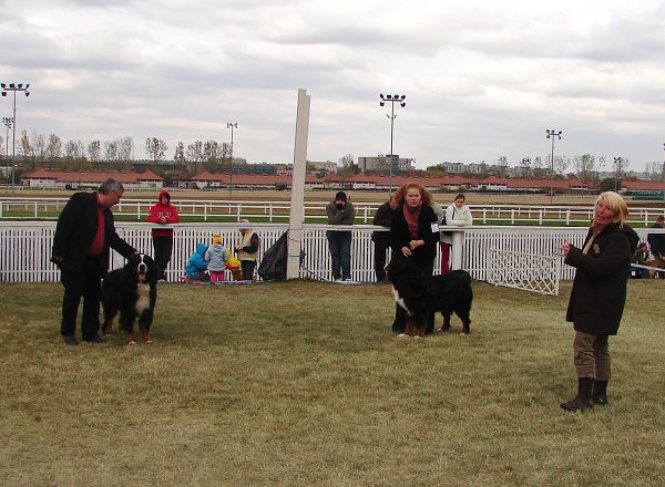 2x CACIB Budapešť - 20. - 21. 10. 2007