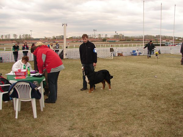 2x CACIB Budapešť - 20. - 21. 10. 2007