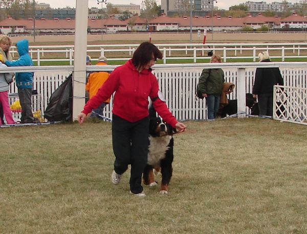 2x CACIB Budapešť - 20. - 21. 10. 2007