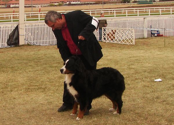 2x CACIB Budapešť - 20. - 21. 10. 2007