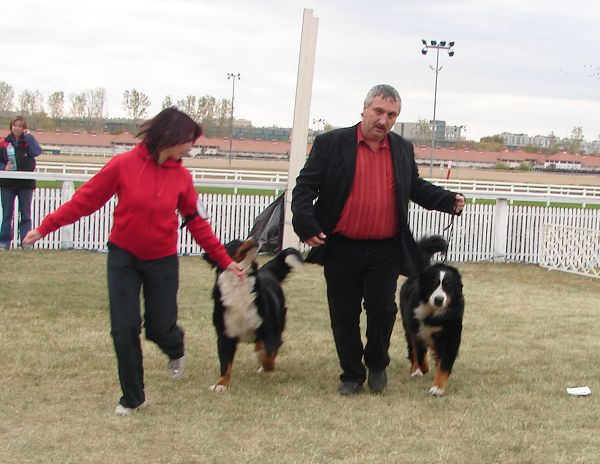 2x CACIB Budapešť - 20. - 21. 10. 2007