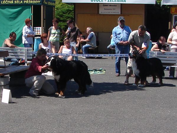 Ganty a vpravo BOB_Ben od Samohelky 