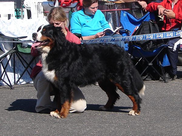 Gigantic postoj1 